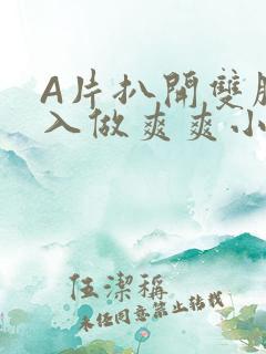 A片扒开双腿进入做爽爽小说