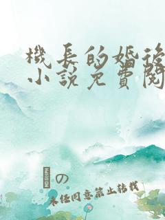 机长的婚后日常小说免费阅读