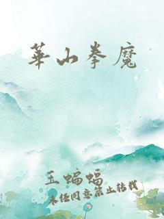 华山拳魔