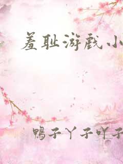 羞耻游戏小说
