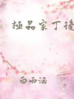 极品家丁后传