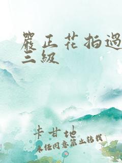 严正花拍过什么三级
