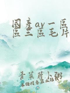 国产av一区二区三区毛片
