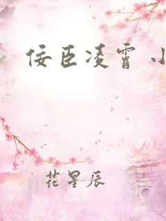 佞臣凌霄 小说