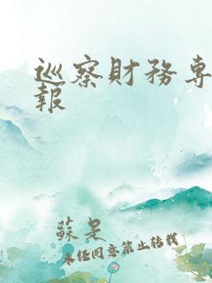 巡察财务专题汇报