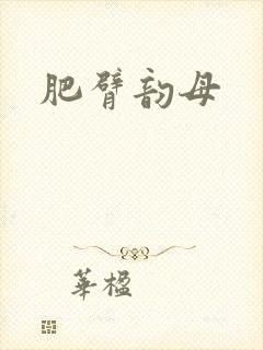 肥臂韵母