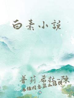 白素小说