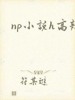 np小说h高辣