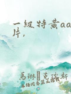 一级特黄aa大片,