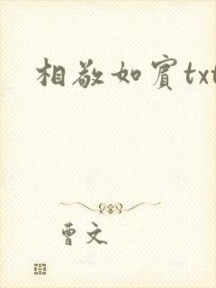 相敬如宾txt