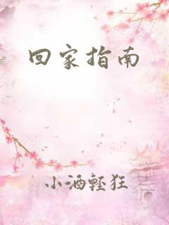 回家指南