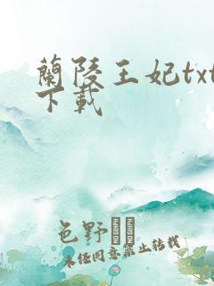 兰陵王妃txt下载