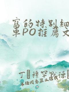 写的特别细的开车PO推荐文
