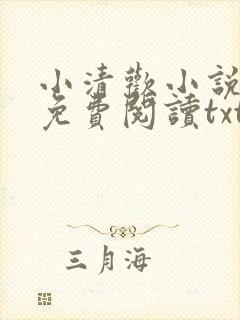 小清欢小说全文免费阅读txt