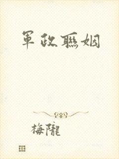 军政联姻
