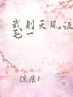 武则天风流艳情毛一