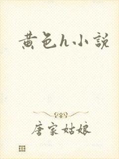 黄色h小说