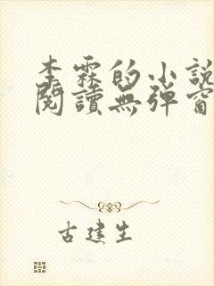 李霖的小说免费阅读无弹窗