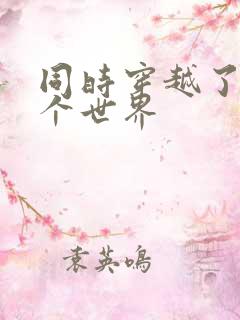 同时穿越了99个世界