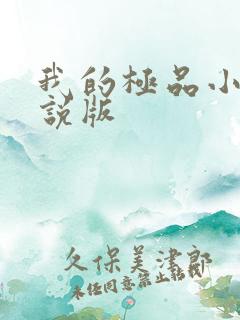 我的极品小姨小说版