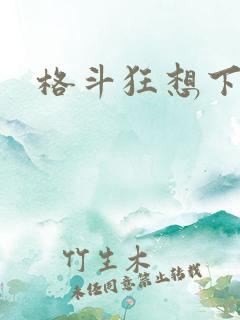 格斗狂想下载