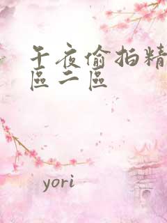 午夜偷拍精品一区二区