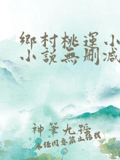 乡村桃运小神医小说无删减版