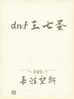 dnf王七蛋