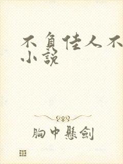 不负佳人不负卿小说