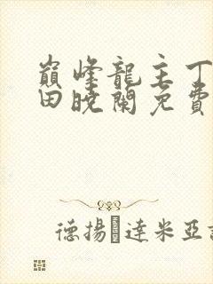巅峰龙主丁长顺田晓兰免费阅读