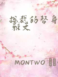 总裁的替身前妻 雅文