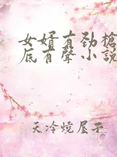 女婿有劲枪枪到底有声小说