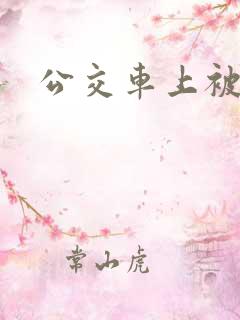 公交车上被人强