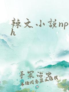 辣文小说np高h