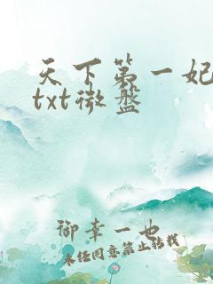 天下第一妃萧歌txt微盘