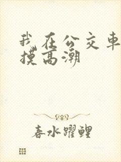 我在公交车上被摸高潮
