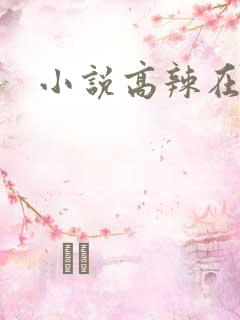 小说高辣在线