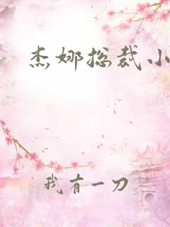 杰娜总裁小说