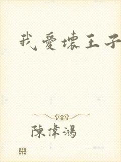 我爱坏王子