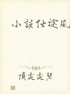小说仕途风流