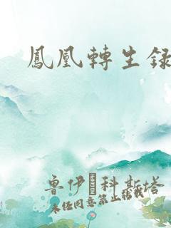 凤凰转生录