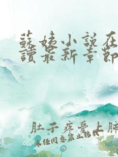 苏姨小说在线阅读最新章节