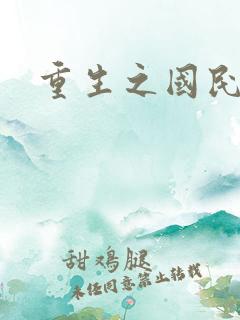 重生之国民老公