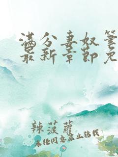 满分妻奴笔趣阁最新章节免费阅读全文