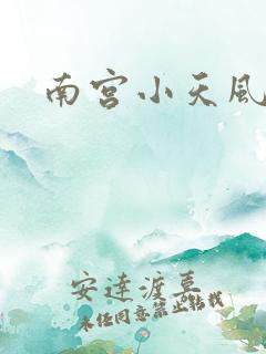 南宫小天风流史
