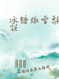 冰糖炖雪梨 小说