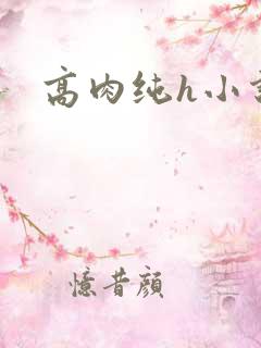 高肉纯h小说