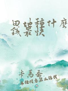 田地种什么最赚钱最快
