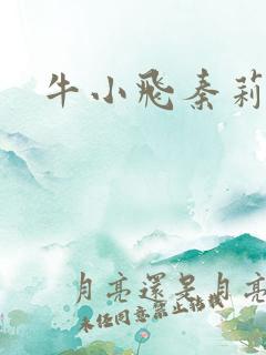 牛小飞秦莉莉