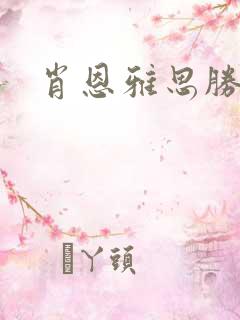 肖恩雅思胜经